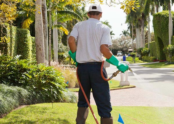 About Staunton IL Pest Control